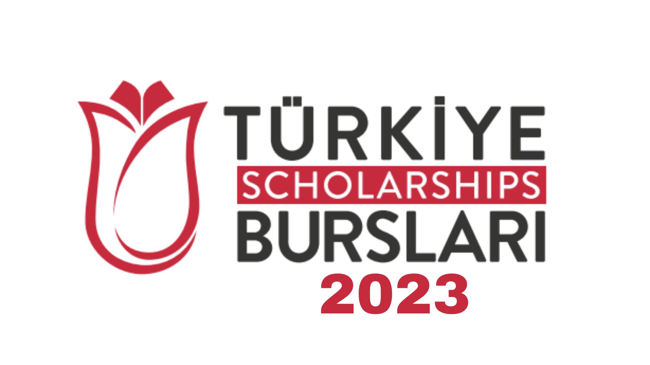 Kuliah di Turki Jalur Beasiswa 2025