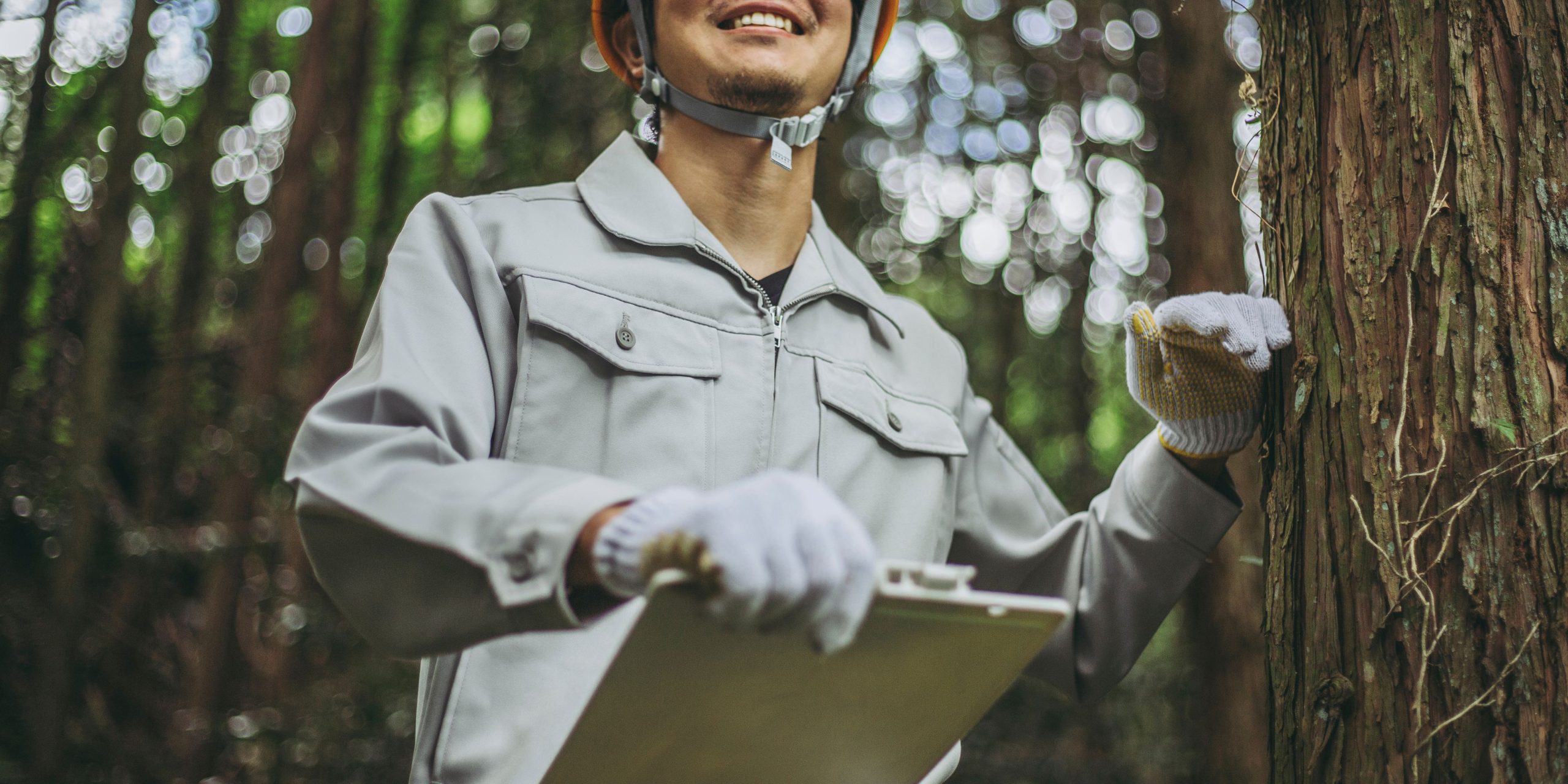 Menggali Hutan: Petualangan Ajaib dalam Teknik Kehutanan
