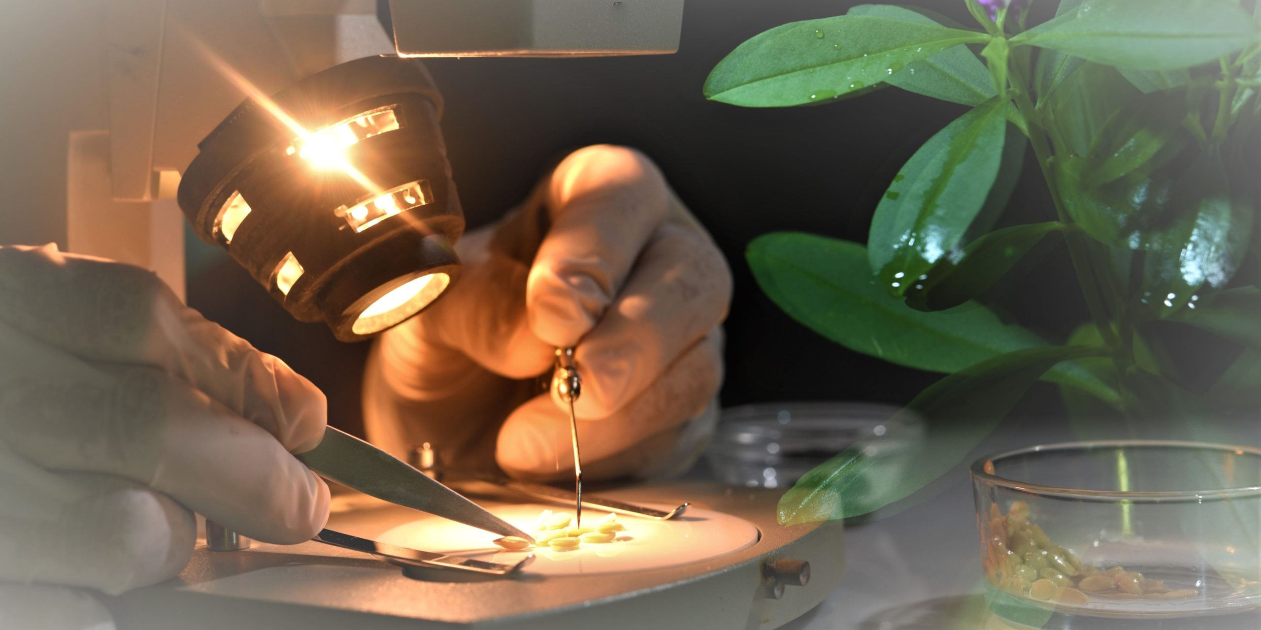 Mengeksplorasi Dunia Biologi: Pendidikan dan Prospek Karir yang Menginspirasi