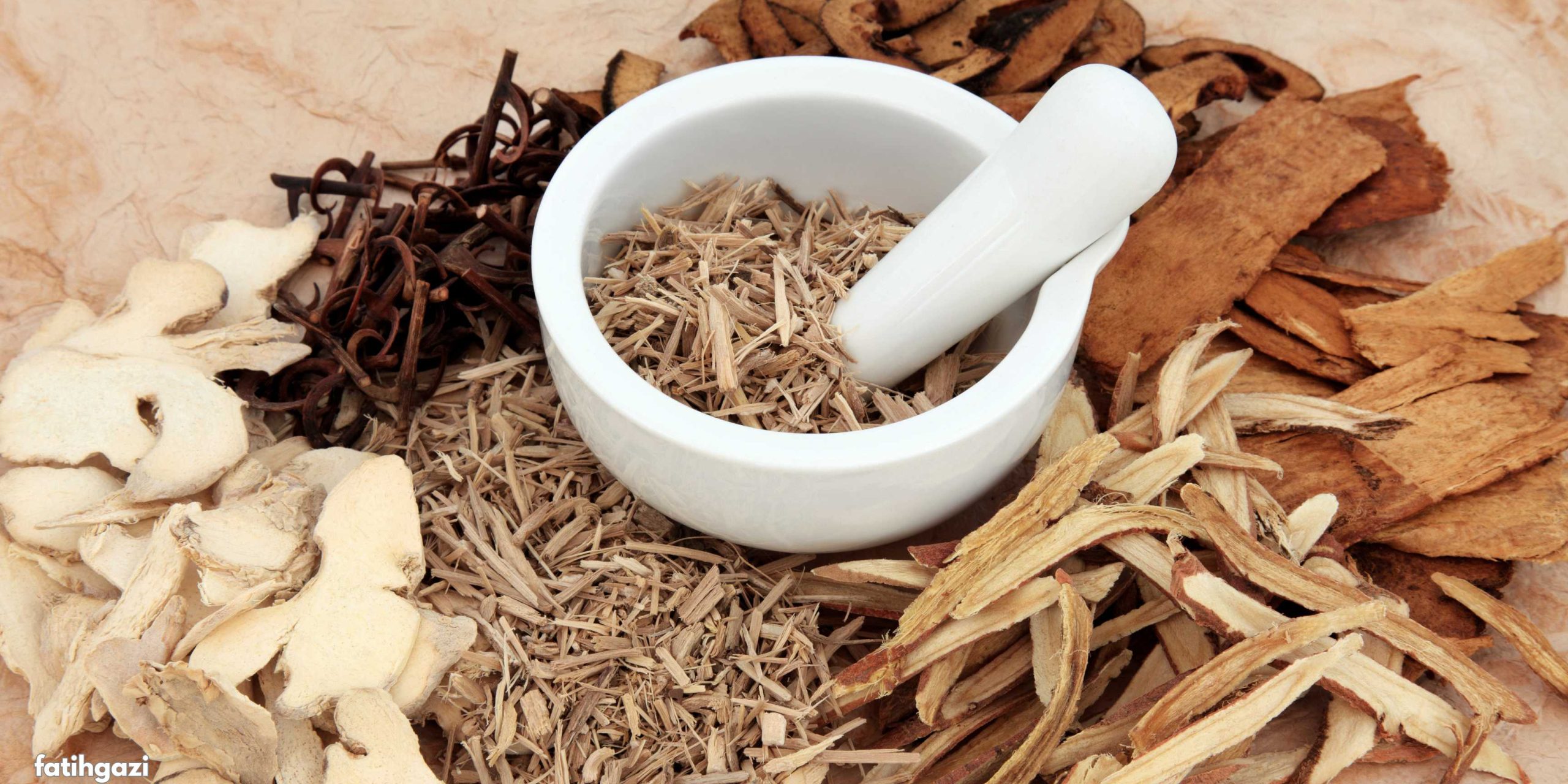 10 Tanaman Obat Herbal Turki yang Menyembuhkan