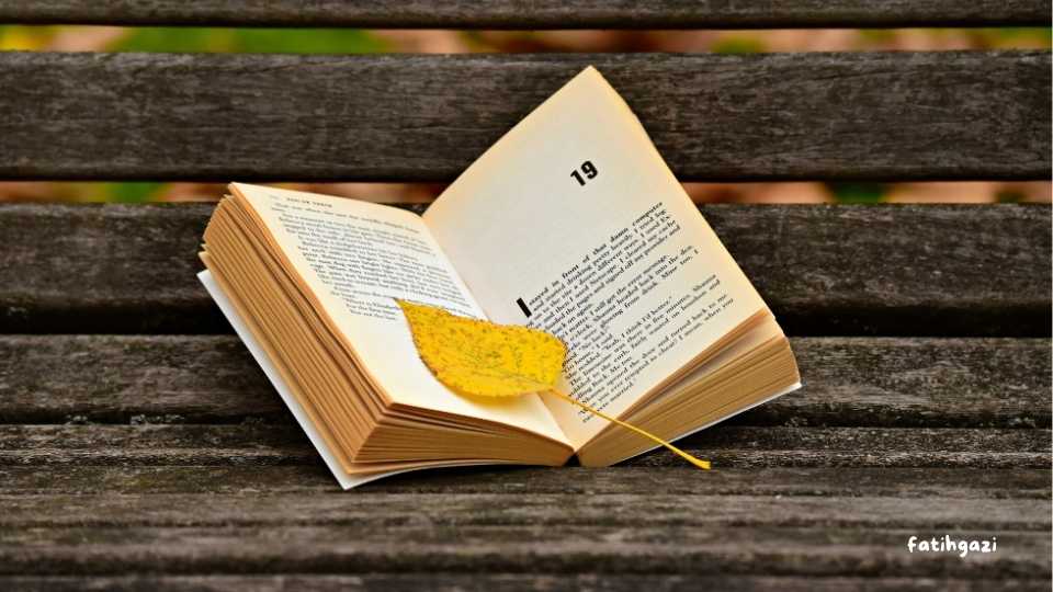 Novel-Novel Turki Terbaik yang Wajib Kamu Koleksi