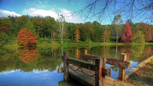 Berwisata Alam di Turki: 6 Hutan di Turki dengan Pesona Surga