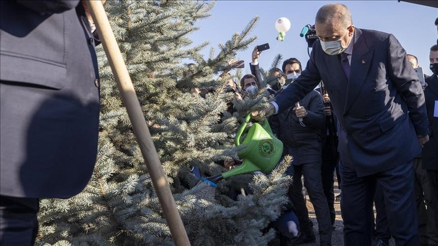 Turki Gencarkan Upaya Pelestarian Hutan