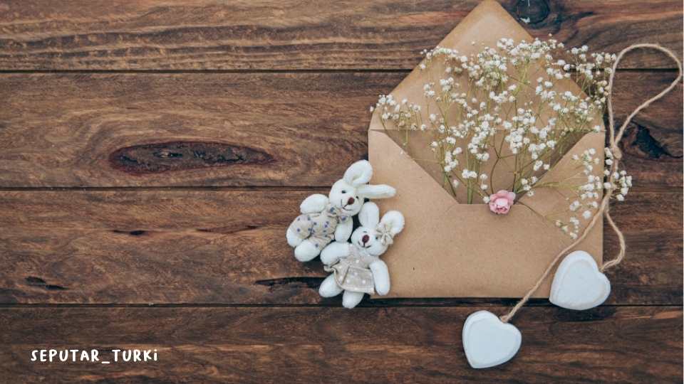 20 Kata-Kata Romantis dalam Bahasa Turki yang Penuh Makna